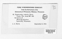 Image Associated With the Occurence